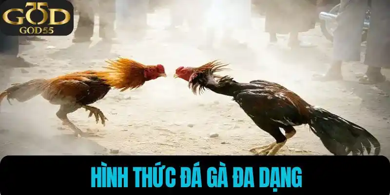 Hình thức đá gà đa dạng
