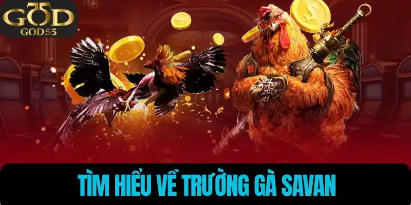 Tìm hiểu trường gà Savan
